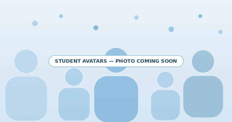 Student-made data avatars